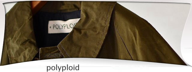 polyploid / ポリプロイド 通販します。神戸 ノマド