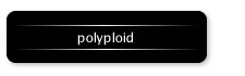 polyploid ポリプロイド